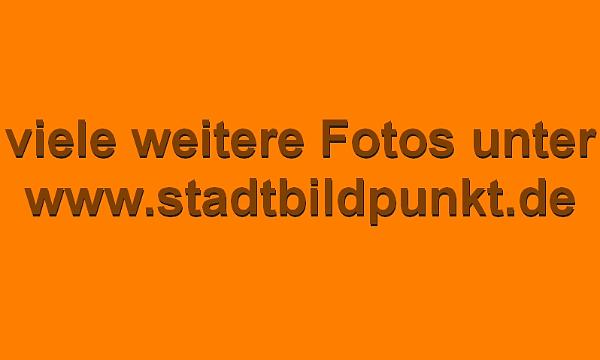 Y-weitere Fotos.jpg